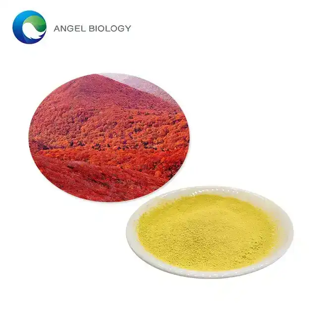 Exploring the Cognitive Health Benefits of Fisetin Powder: An Effective Antioxidant Supplement?